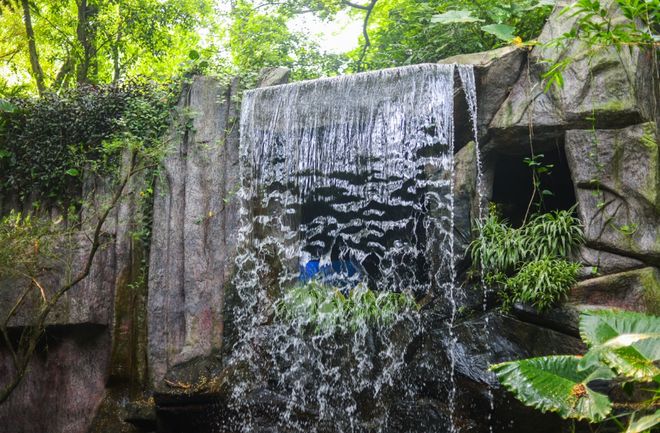 夜游灯会！深圳12月1日-7日景区特惠活动推荐！